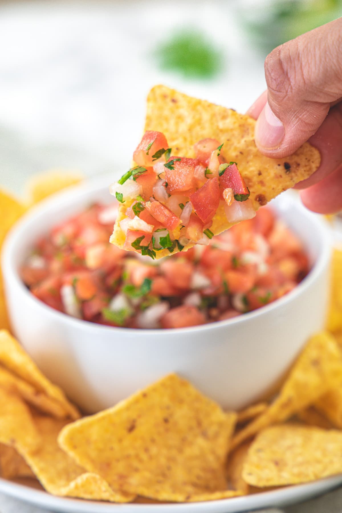 Scoop of salsa fresca with a tortilla chips.