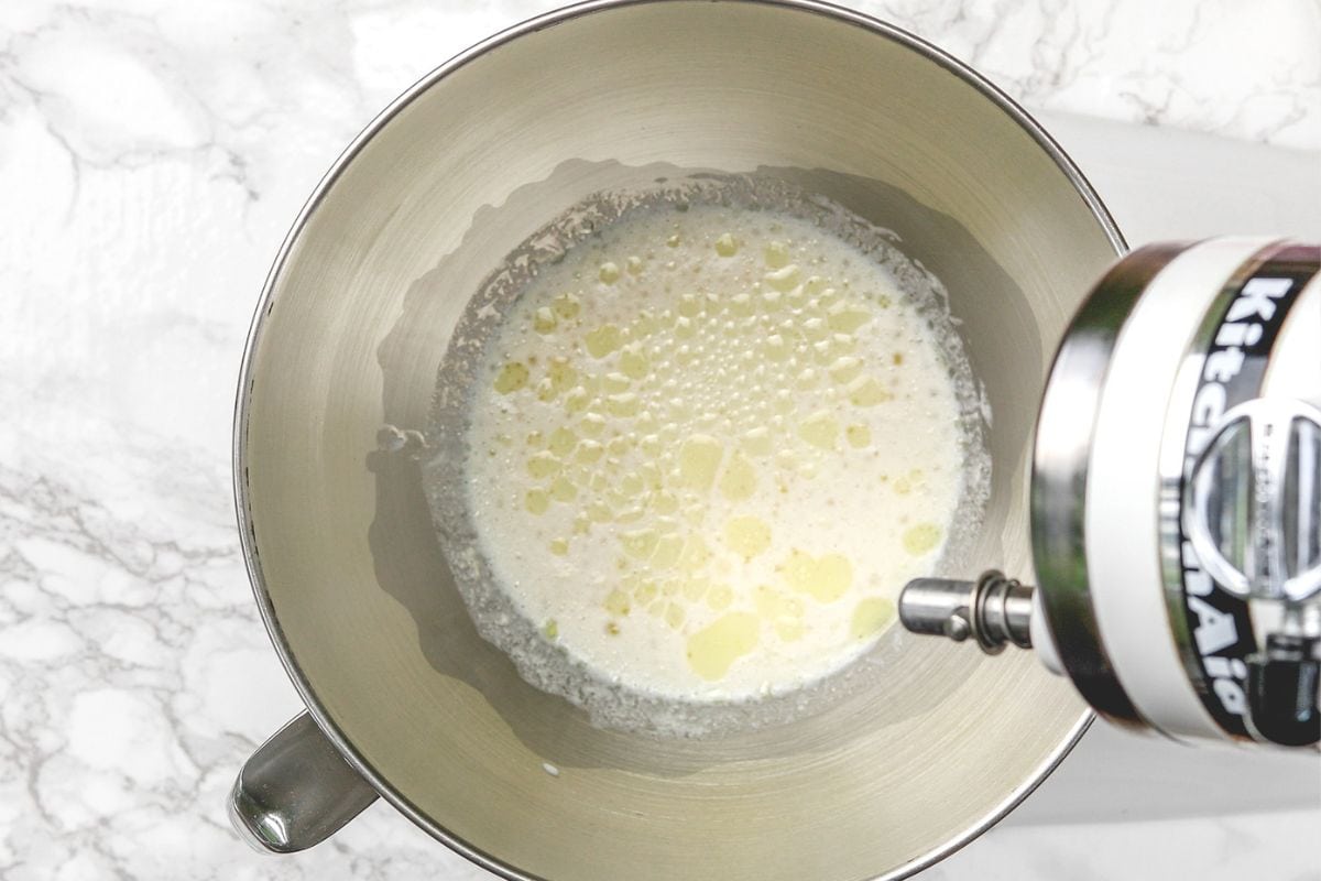 Mixing yogurt, oil, water and garlic in yeast mixture.