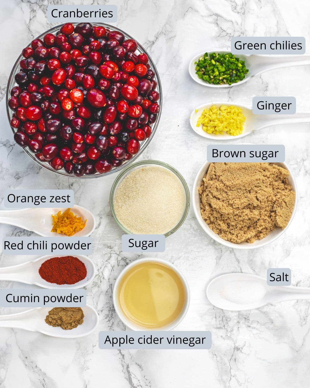 Cranberry chutney ingredients in bowls and spoons with labels.