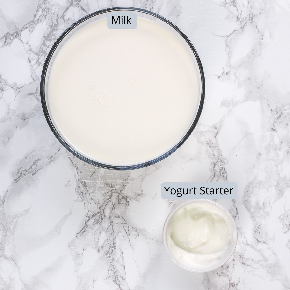 Milk and starter yogurt in bowls with labels.