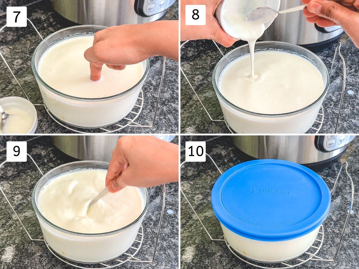 How To Make Curd   Dahi    Instant Pot - 23