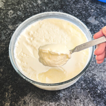 How To Make Curd   Dahi    Instant Pot - 3