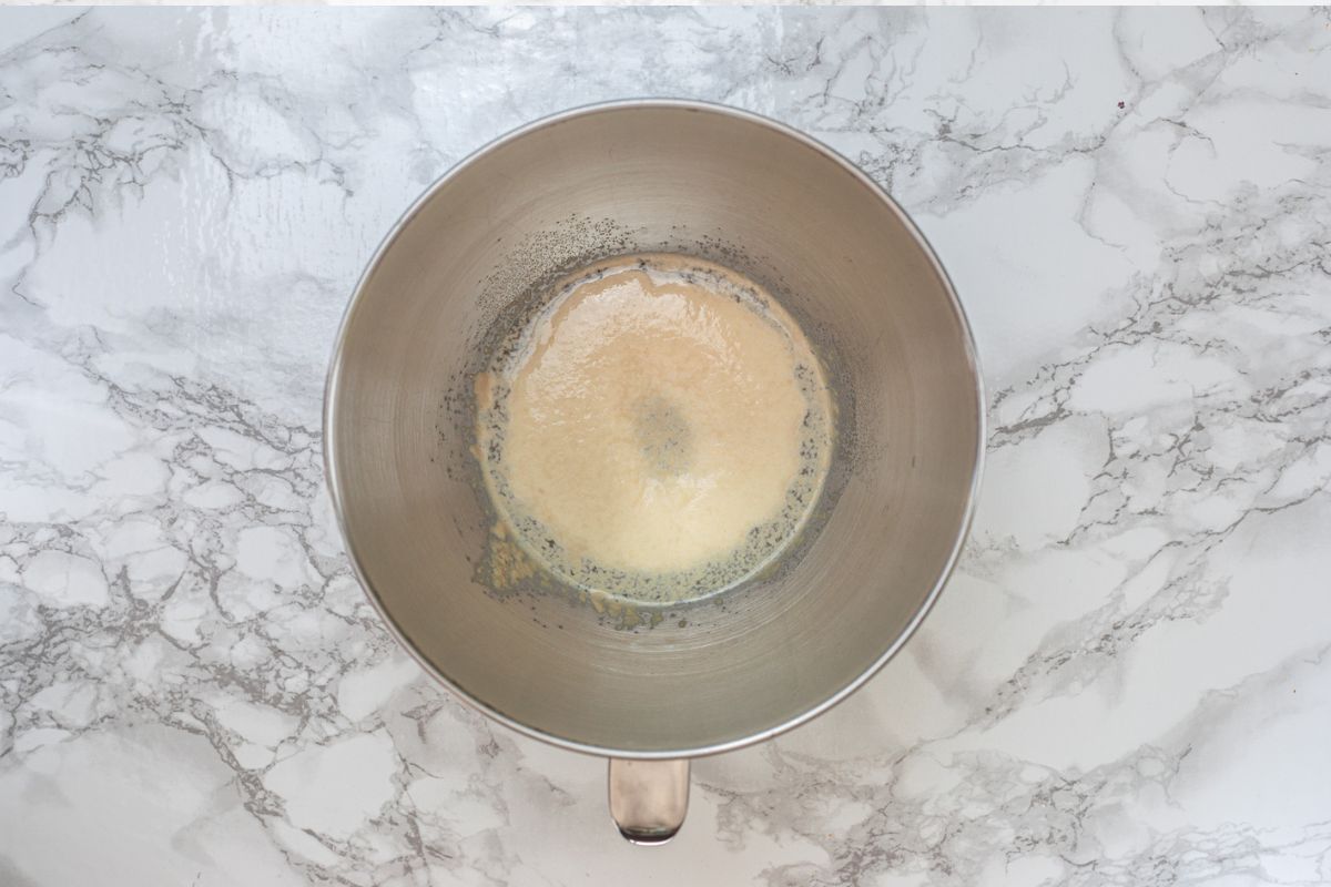 Activated yeast in a bowl.